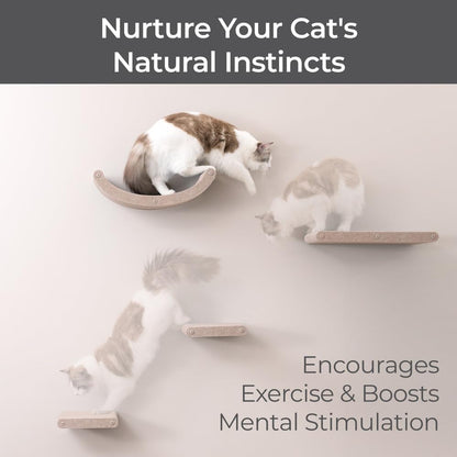 Wall Mounted Cat Shelves (Set of 4) by Pryde Pets - 100% Sustainable PET Felt Feline Enrichment