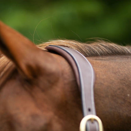 Joseph Sterling Comfort Crown Leather Halter for Horses | Memory Foam Interior for Comfort |