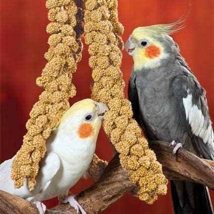 Nemeth Farms–Natural Sun Dried Millet Spray for Pet Birds–Bulk Parrot Seed Treats and Parrot