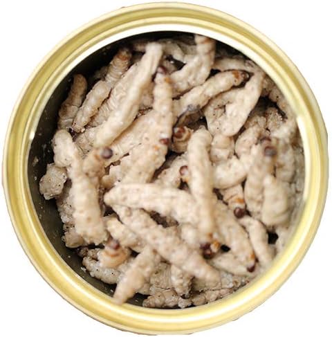 Canned Caterpillars (1.2 oz.) - Healthy High Protein Insect Treat - Hedgehogs, Sugar Gliders