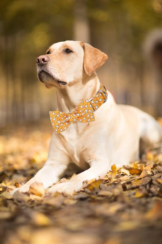 Lionet Paws Halloween Dog Collar with Bowtie - Cute Cotton Adjustable Fall Bowtie Dog Collar with