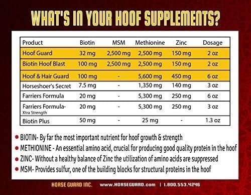 Horse Guard Hoof Supplements for Horses - 80 Servings - Biotin Hoof Blast 10lb Bag with 100mg