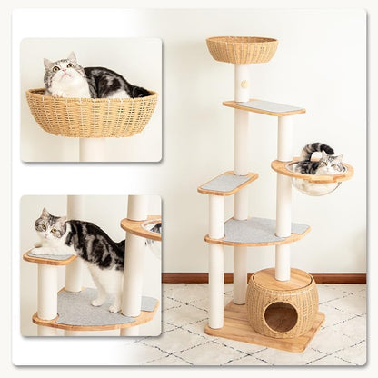 Wooden Cat Tower for Large Cats 63’‘, Modern Multi-Level Condo with Natural Wood, Indoor Cat