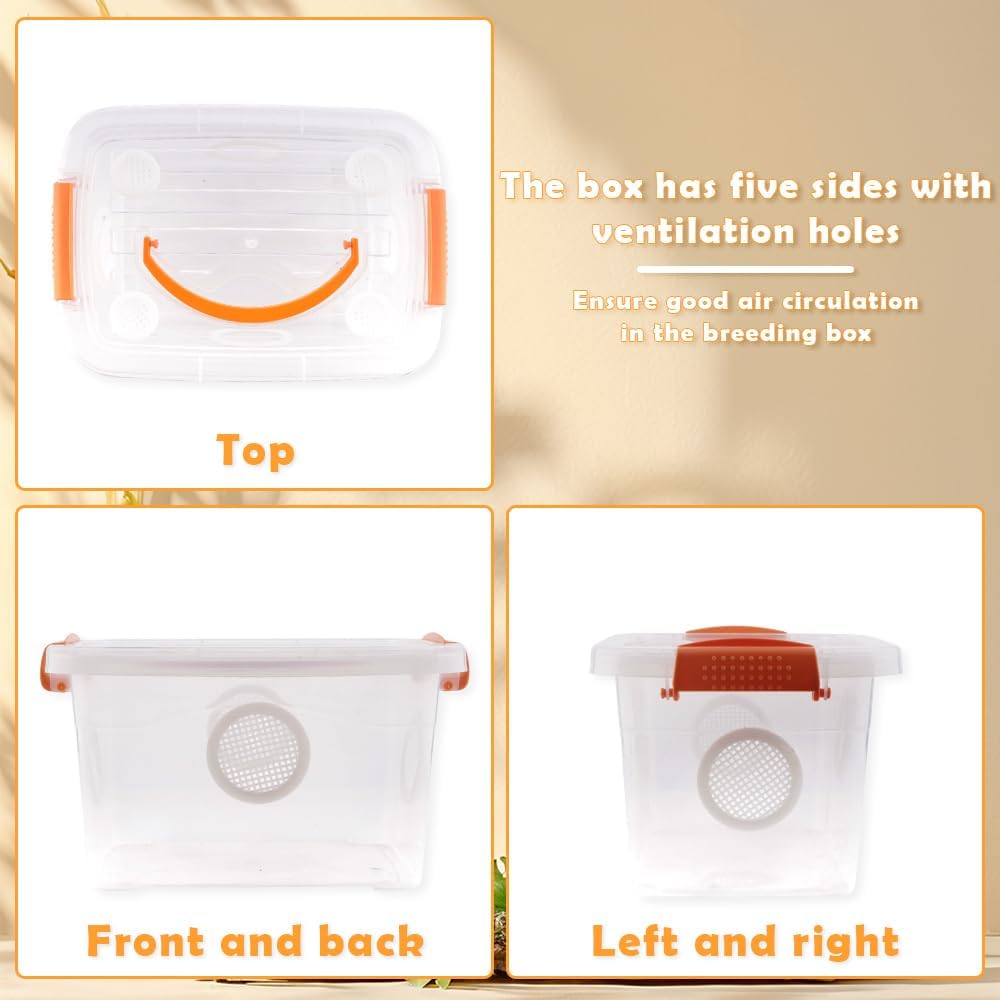 Reptile Feeding Box Snake Plastic Transparent Breeding Box Hatching Container for Small Reptile