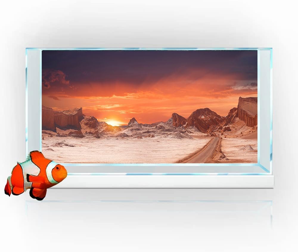 36X18IN Sun and Desert Moon Themed Reptile Habitat on Orange Durable Decorative Background
