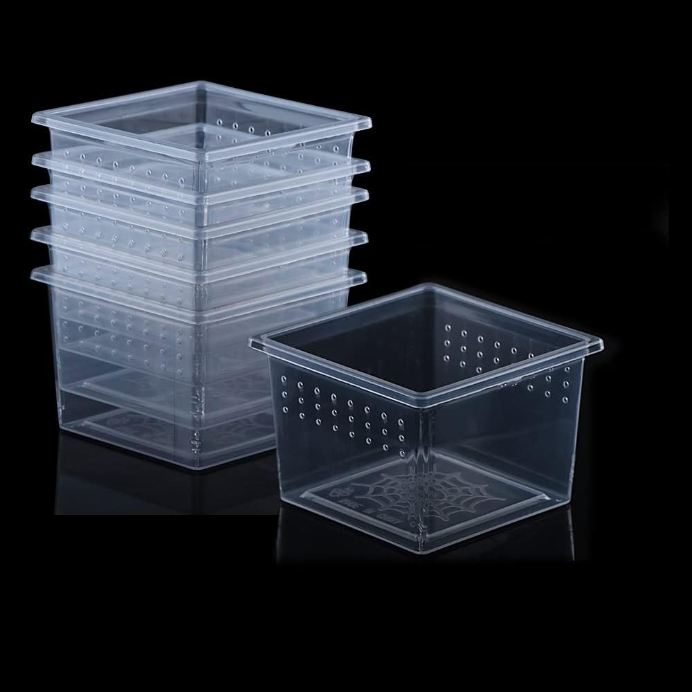 10 Pcs Insect Spider Terrariums Breeding Box Hatching Container Small Reptile Scorpion Centipede