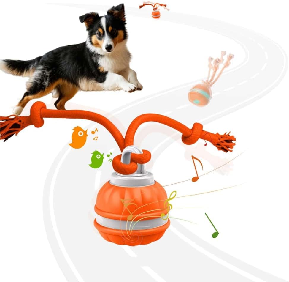 Interactive Dog Toys, Squeaky Dog Toys, Active Rolling Ball for Puppy and Medium Dogs, Squeaky, USB