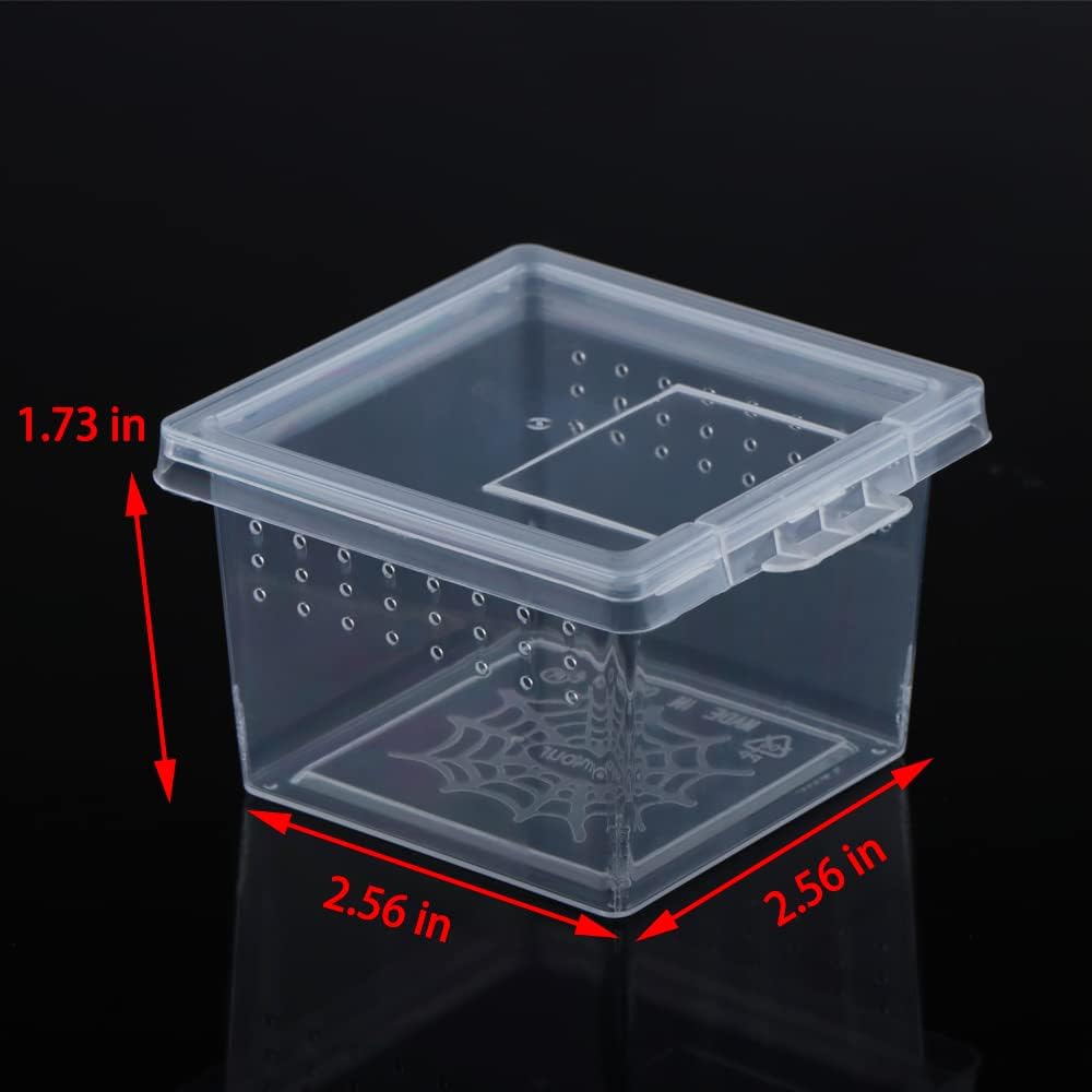 10 Pcs Insect Spider Terrariums Breeding Box Hatching Container Small Reptile Scorpion Centipede