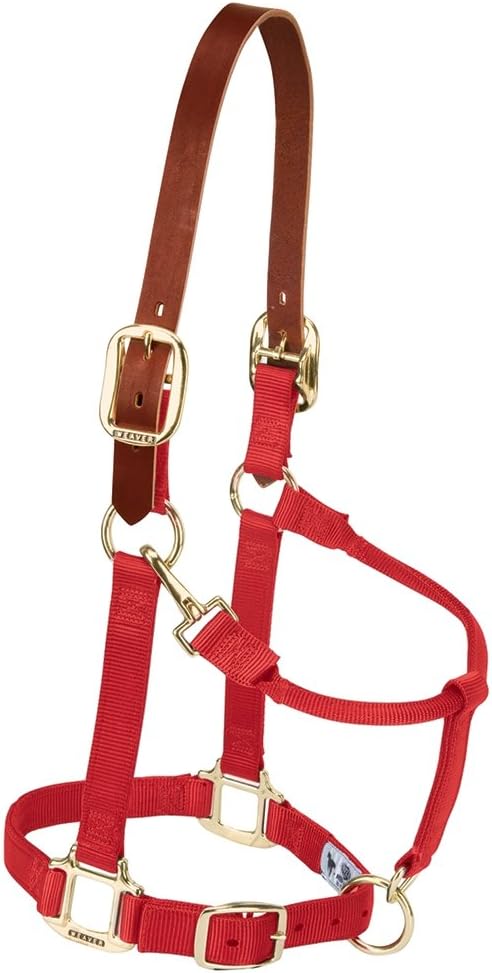 Weaver Equine Breakaway Horse Halter, Supple Leather Crown, Adjustable Chin & Throat Snap Halters