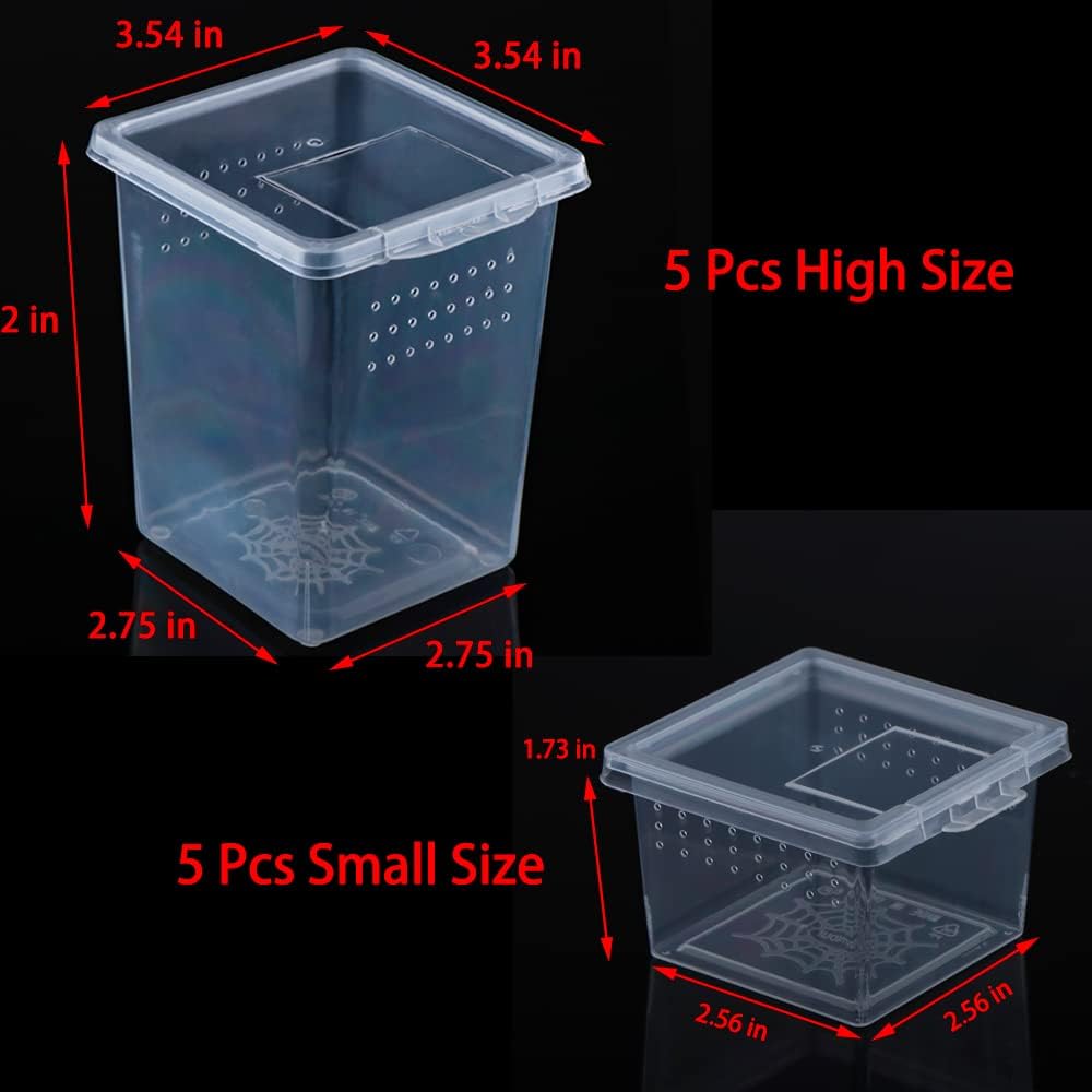 10 Pack Spider Terrariums Breeding Box Small Reptile Hatching Container Acrylic Feeding Box for