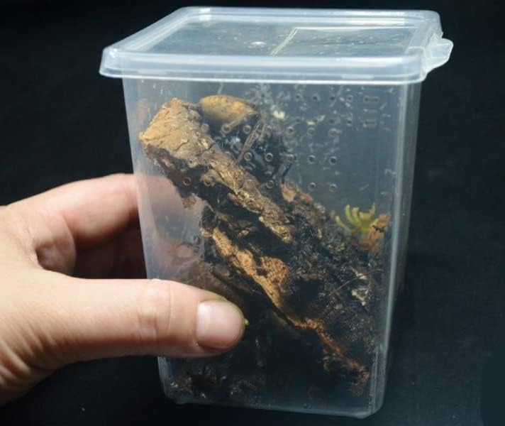 Small Reptile breeding Box Spider Terrarium freeding Box for arboreal Tarantula Scorpion Sling