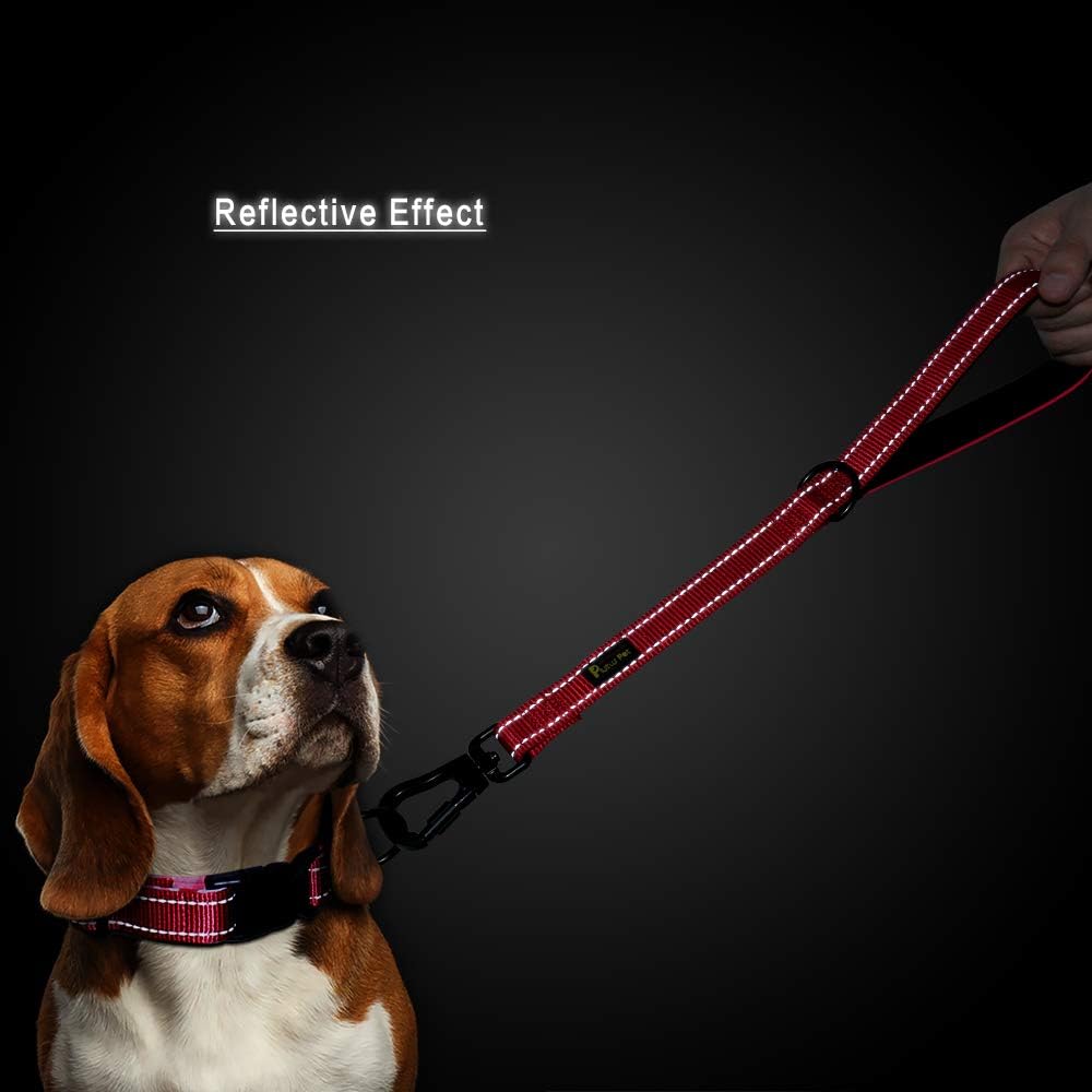 PLUTUS PET Short Training Dog Leash with Padded Handle for Medium Large Big Dogs,18 Inch Heavy Duty