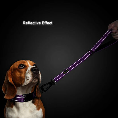 PLUTUS PET Short Training Dog Leash with Padded Handle for Medium Large Big Dogs,18 Inch Heavy Duty