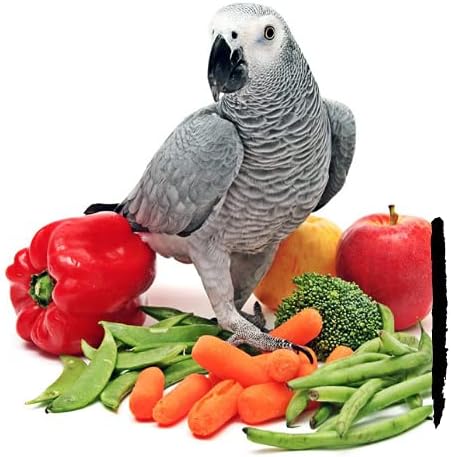 Parrot Food - Parakeet- Cockatiel Food - Bird Food - Cooks in 3-15 min w/Natural & Organic Grains