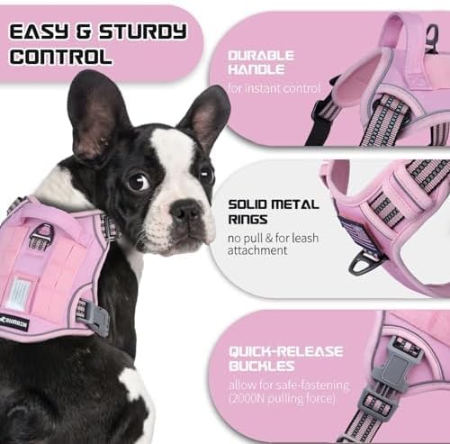 BUMBIN Tactical Dog Harness for Small Dogs No Pull, Famous TIK Tok No Pull Puppy Harness, Fit Smart