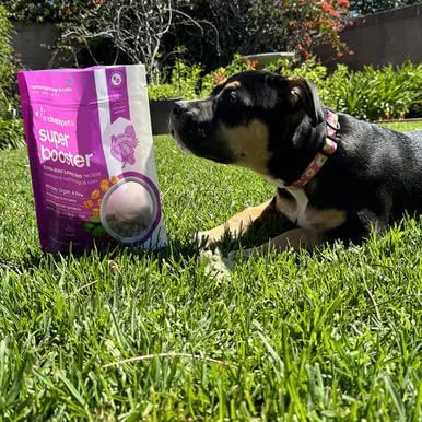 Smallbatch Freeze Dried Dog Treats, Superfood Food Topper Turkey Bites for Dogs & Cats, Probiotics