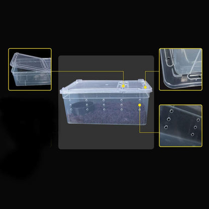OMEM Portable Reptile Terrarium Habitat for Mini Pet Houses Breathable Holes Stackable Container