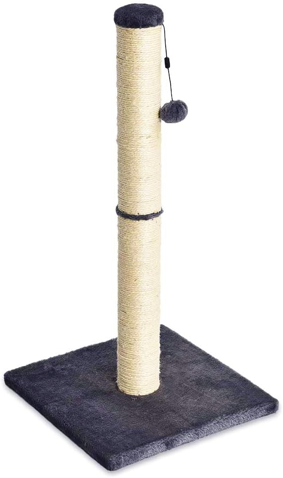 Amazon Basics Cat Scratcher - Indoor Classic Single Cat & Kittens Scratching Post, Medium (31.5"H)