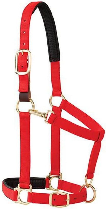 Weaver Equine Breakaway Horse Halter, Comfort Foam Padding, Adjustable Chin & Throat Snap Halters