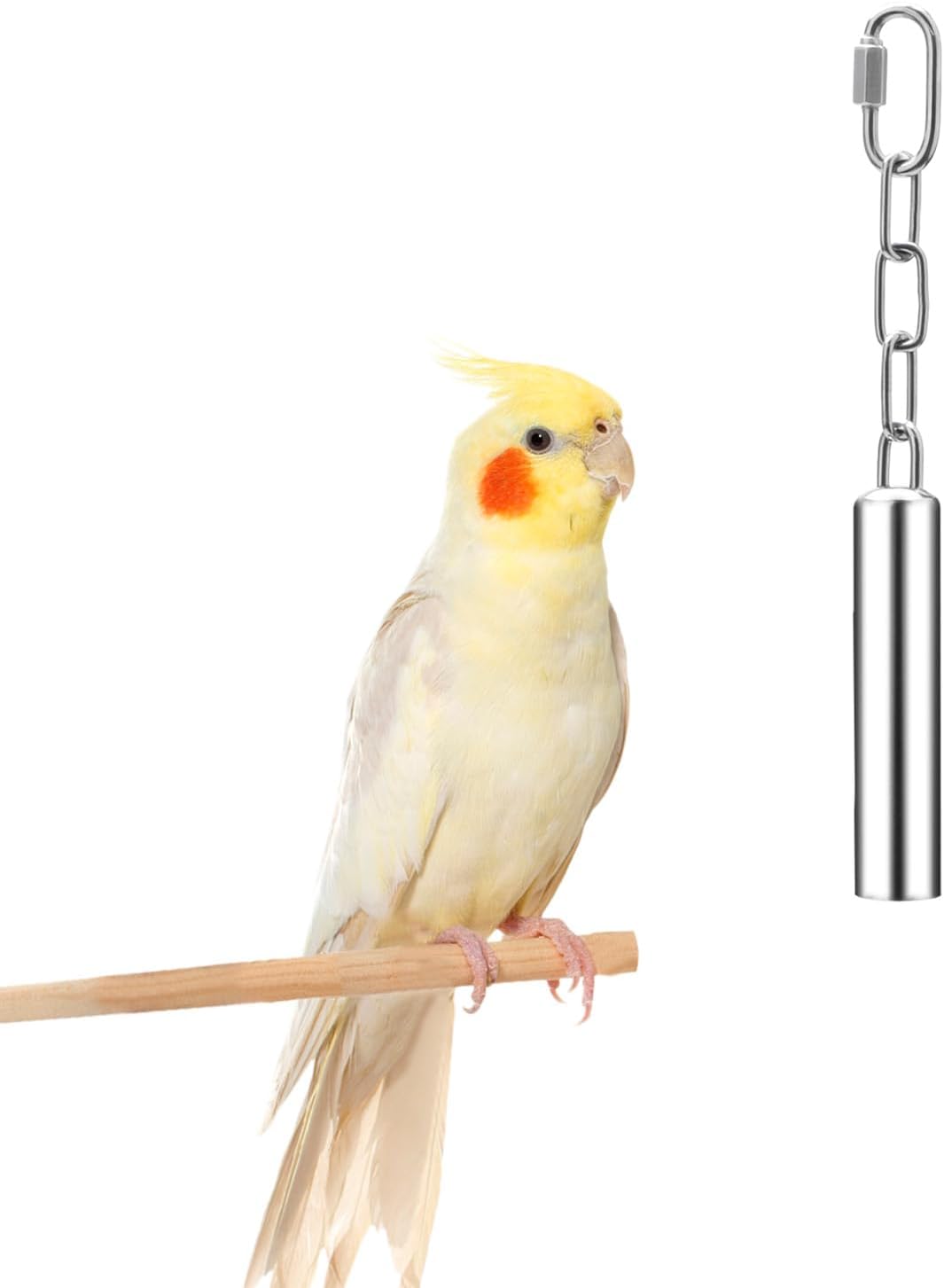 Stainless Steel Bell Toy Bird Cage Hanging Bite Toy for Parrot Parakeet Budgie Cockatiel Conure