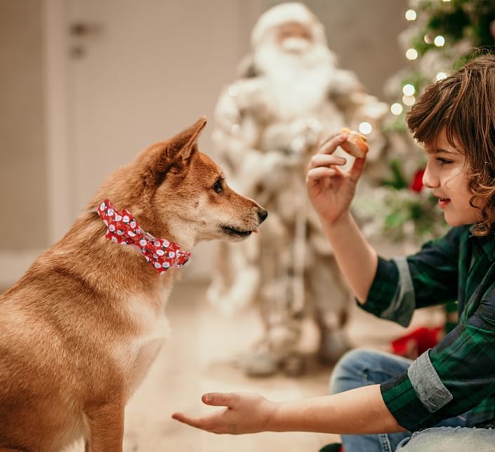 Unique Style Paws Christmas Day Dog Collar with Bow Christmas Tree Cotton Puppy Collars for Small