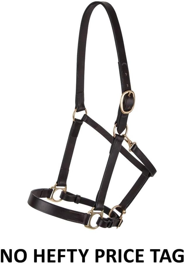 Dura-Tech Premier Lancaster Leather Halter for Horses | Simple Economy Leather Halter with