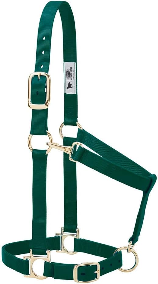 Weaver Leather Nylon Horse Halter, Padded and Adjustable, Chin and Throat Snap Hook Halters for