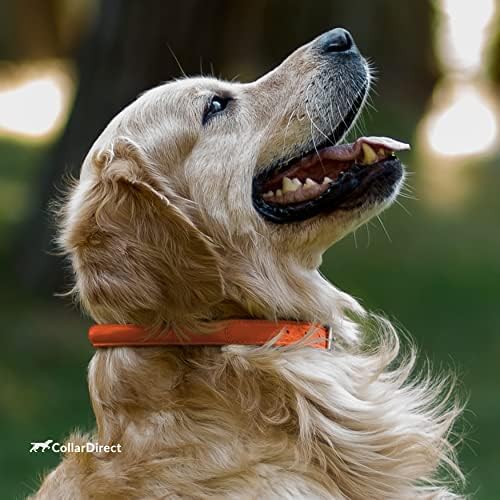 CollarDirect Rolled Leather Dog Collar, Soft Padded Round Puppy Collar, Handmade Genuine Leather