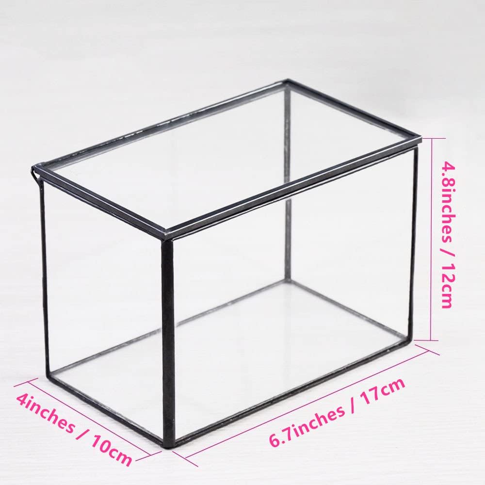 NCYP Small Rectangle Glass Terrarium Planter with Lid, 6.7 x 4 x 4.8 Inches Clear Black Geometric