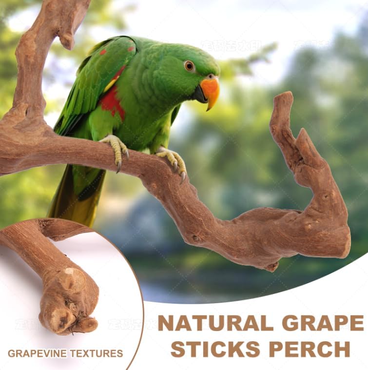 Parrot Perch Bird Perch Stand Set Natural Wild Wood Grape Sticks Paw Grinding Fork Parakeet