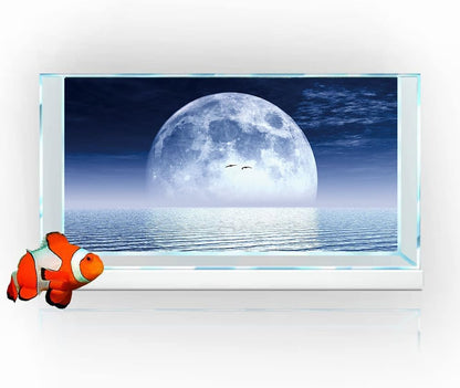 Moon Aquarium Background,Cool Sea Galaxy Parallel Space Themed Fish Tank Background, Cool Terrarium
