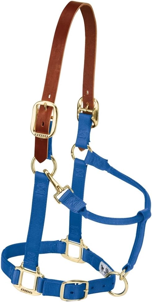 Weaver Equine Breakaway Horse Halter, Supple Leather Crown, Adjustable Chin & Throat Snap Halters