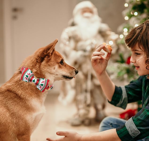 Unique Style Paws Christmas Day Dog Collar with Bow Christmas Tree Cotton Puppy Collars for Small