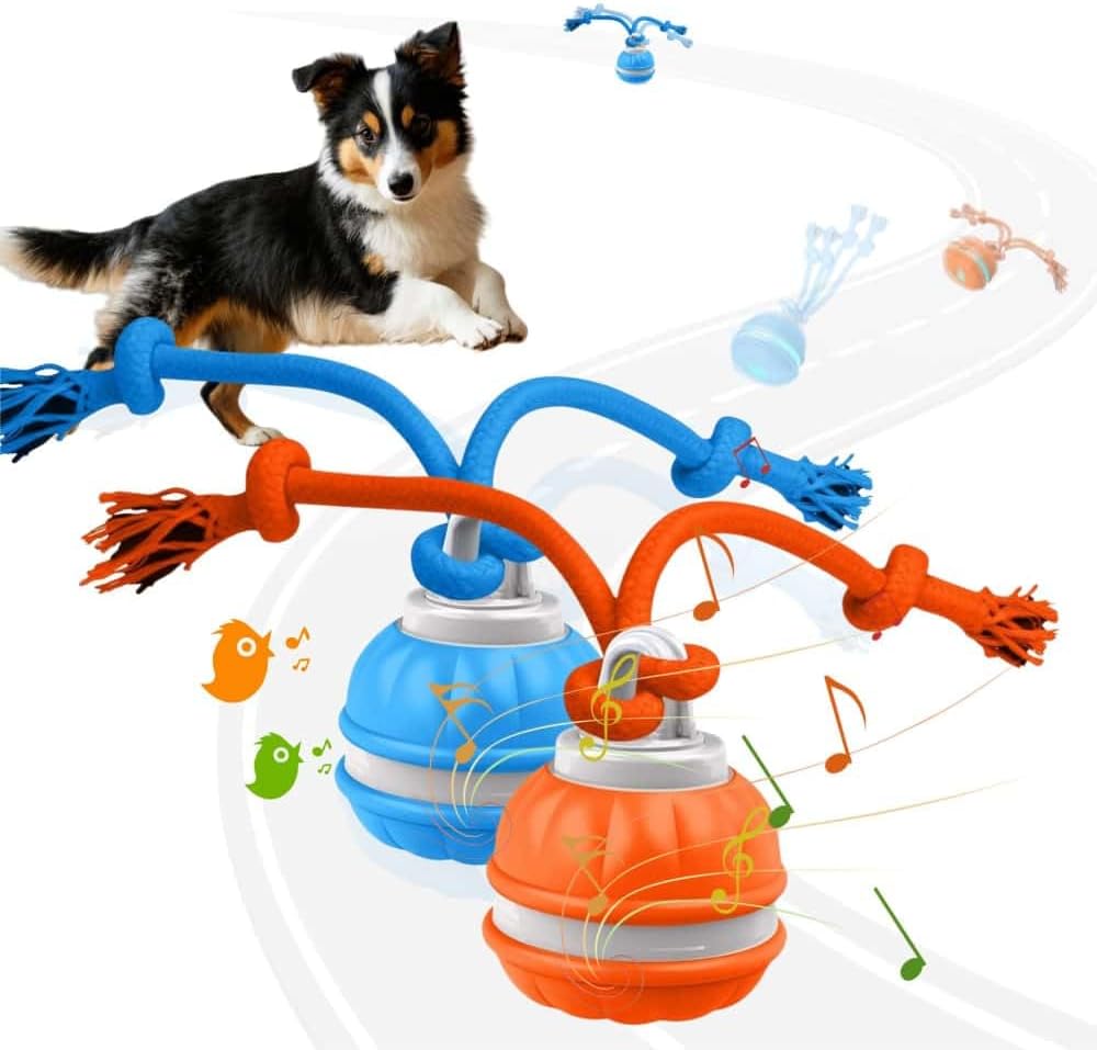 Interactive Dog Toys, Squeaky Dog Toys, Active Rolling Ball for Puppy and Medium Dogs, Squeaky, USB
