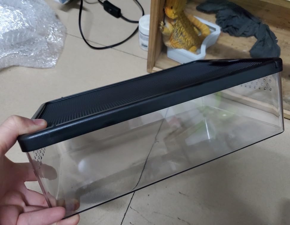 Reptile Feeding Box Snake cage Clear Terrarium for Snake Geckos Frog Lizards Chameleons Serpents