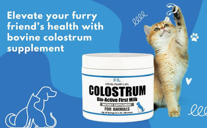 Bio-Active Bovine Colostrum for Dogs, Cats, Puppies, Kittens & Pets - Daily Colostrum Powder