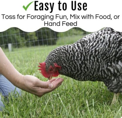 Grub Fuel Black Soldier Fly Larvae for Chickens - Nutrient Packed BSFL, Sustainably Sourced Snack