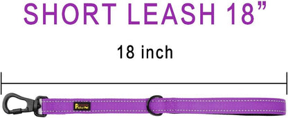 PLUTUS PET Short Training Dog Leash with Padded Handle for Medium Large Big Dogs,18 Inch Heavy Duty