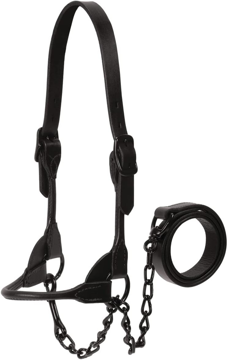 Weaver Livestock Leather Magic Show Cattle Halter, Adjustable, Modern Style Cow Calf Halter