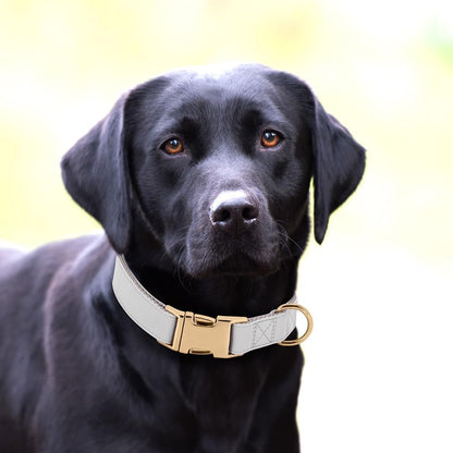 PET ARTIST Soft PU Leather Dog Collar for Large Dogs, Bright & Classic Nylon Padded Durable Dog