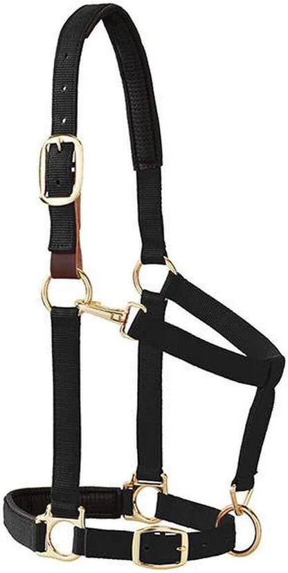 Weaver Equine Breakaway Horse Halter, Comfort Foam Padding, Adjustable Chin & Throat Snap Halters