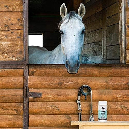 COAT DEFENSE Daily Preventative Powder for Horses - Safe & Effective Equine Skin Conditioner Sweet
