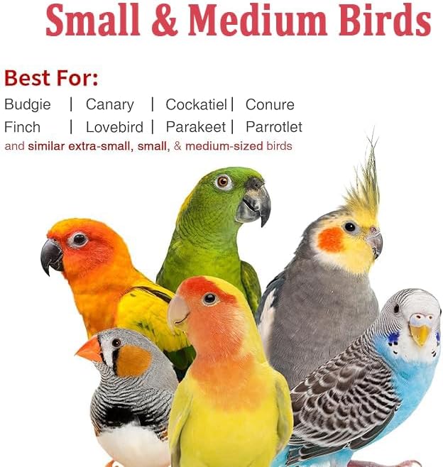 Small Bird Travel Carrier, Portable Bird Travel Carrier for Parakeet, Parrot, Budgie, Guinea Pig