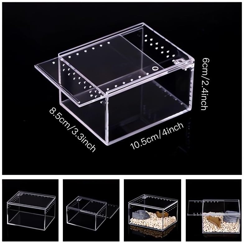 Insect breeding Box Reptile Feeding Box, Waterproof Enclosure Enclosure for arboreal Tarantula