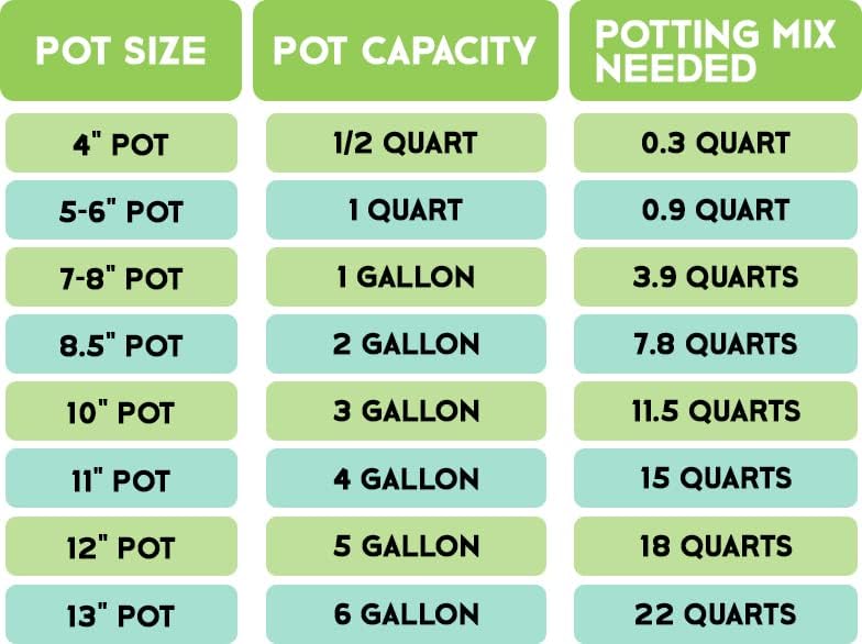 Money Tree Soil (4 Quarts), Potting Mix for Planting/Repotting Pachira Aquatica, All-Natural Custom