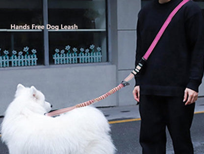 Hands Free Dog Leash for Large Medium Dogs Heavy Duty Bungee Reflective Adjustable Waist Leashes