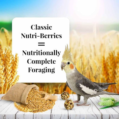LAFEBER'S Classic Nutri-Berries Pet Bird Food, Made with Non-GMO and Human-Grade Ingredients, for