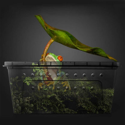 OMEM Portable Reptile Terrarium Habitat for Mini Pet Houses Breathable Holes Stackable Container