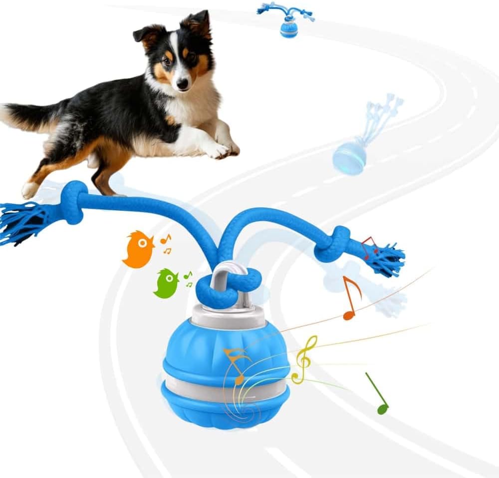 Interactive Dog Toys, Squeaky Dog Toys, Active Rolling Ball for Puppy and Medium Dogs, Squeaky, USB