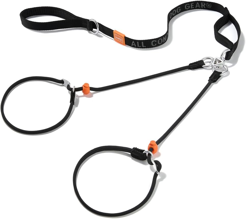 Howgo Double Slip Leash Slip Lead with Two Handles| Dual Dog Slip Lead for 2 Dogs,360° Swivel No